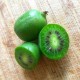 mini-kiwi-frucht
