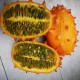 horned-melon-kiwano-seeds