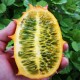 horned-melon-kiwano
