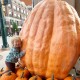 atlantic-giant-pumpkin