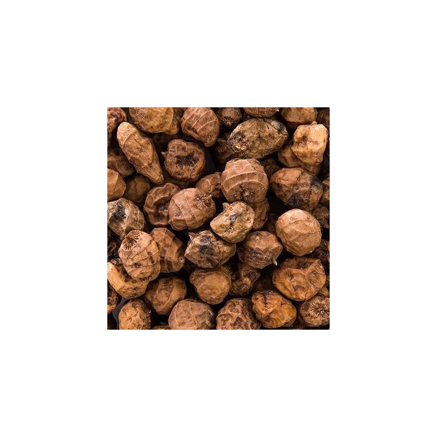 Souchet Comestible Graines De Chufa Noix Tigr e Amande De Terre 
