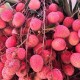 lychee-seeds