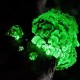 panellus-stipticus-champignons-bioluminescents