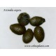 semillas de mini kiwi